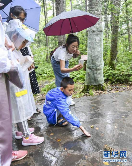 （社會(huì)）（5）黑龍江伊春：消夏旅游熱