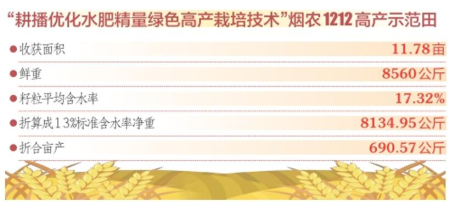 點(diǎn)擊放大
